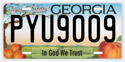 GA license plate PYU9009