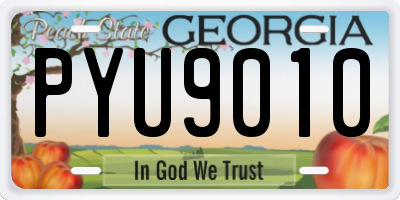 GA license plate PYU9010