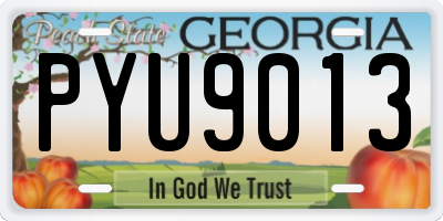 GA license plate PYU9013