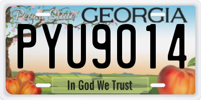 GA license plate PYU9014