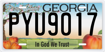 GA license plate PYU9017