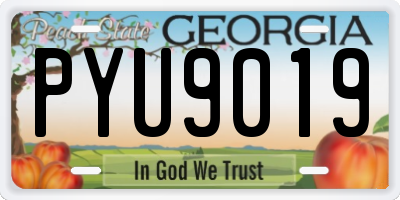 GA license plate PYU9019