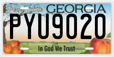 GA license plate PYU9020