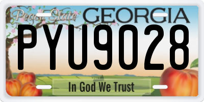 GA license plate PYU9028