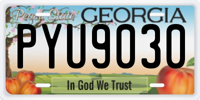 GA license plate PYU9030