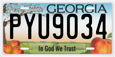 GA license plate PYU9034
