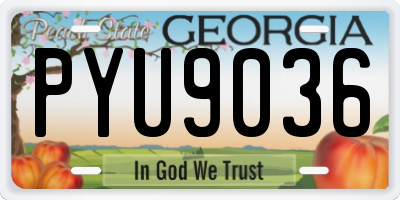GA license plate PYU9036