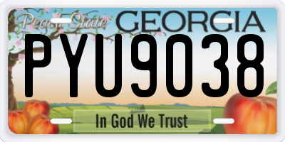 GA license plate PYU9038