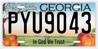 GA license plate PYU9043