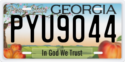 GA license plate PYU9044