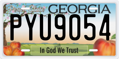 GA license plate PYU9054