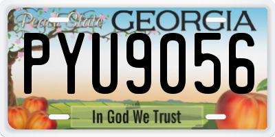 GA license plate PYU9056