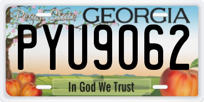 GA license plate PYU9062