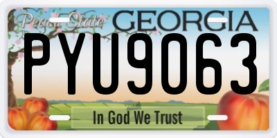 GA license plate PYU9063