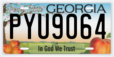 GA license plate PYU9064