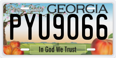 GA license plate PYU9066