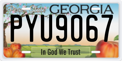 GA license plate PYU9067