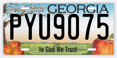 GA license plate PYU9075