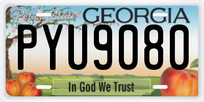 GA license plate PYU9080