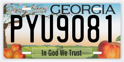 GA license plate PYU9081
