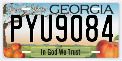 GA license plate PYU9084