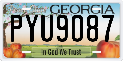 GA license plate PYU9087