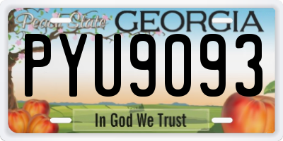 GA license plate PYU9093