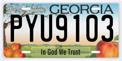 GA license plate PYU9103