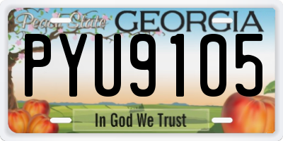 GA license plate PYU9105