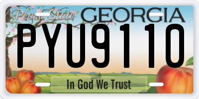 GA license plate PYU9110