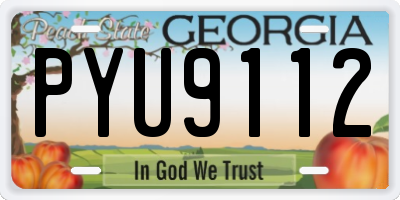 GA license plate PYU9112