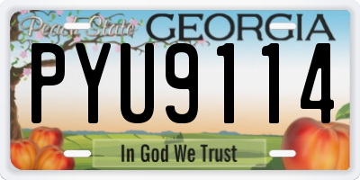 GA license plate PYU9114