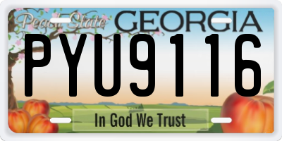 GA license plate PYU9116