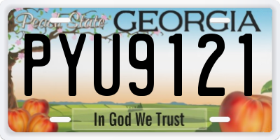 GA license plate PYU9121