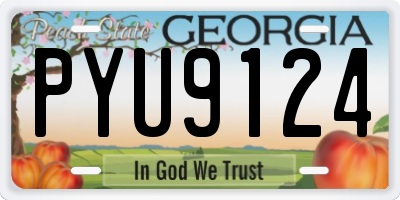 GA license plate PYU9124