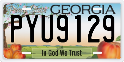 GA license plate PYU9129