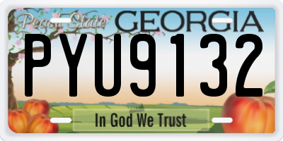 GA license plate PYU9132