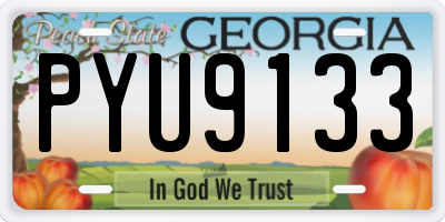GA license plate PYU9133