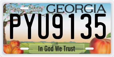 GA license plate PYU9135