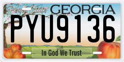 GA license plate PYU9136