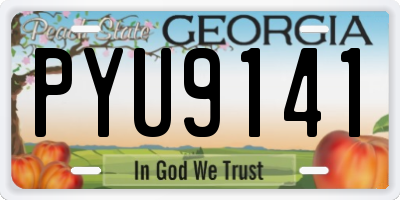 GA license plate PYU9141