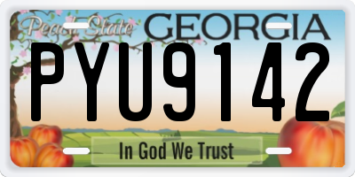 GA license plate PYU9142