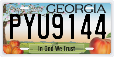 GA license plate PYU9144