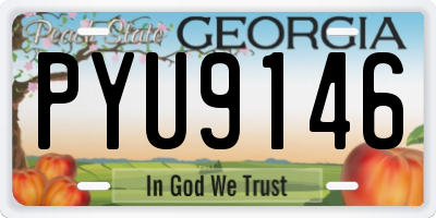 GA license plate PYU9146