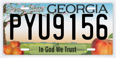 GA license plate PYU9156