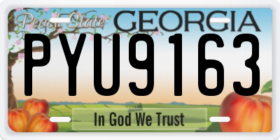 GA license plate PYU9163