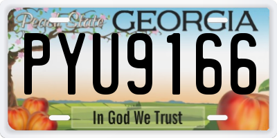 GA license plate PYU9166