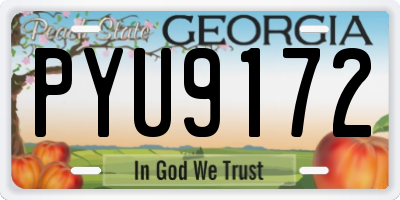GA license plate PYU9172