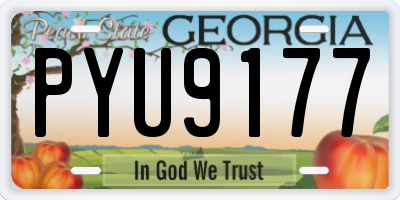 GA license plate PYU9177