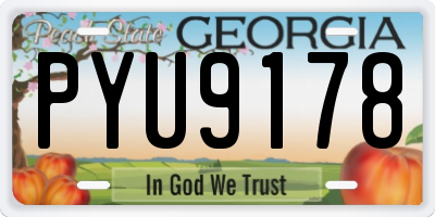 GA license plate PYU9178
